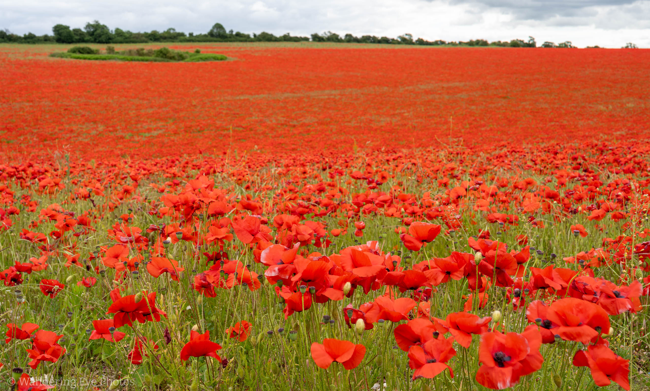 06.28 11.20.18   DSC08545